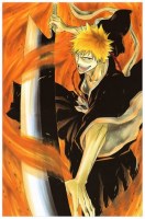 Bleach 02